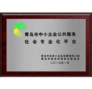 青島市中小企業(yè)公共服務社會專業(yè)化平臺